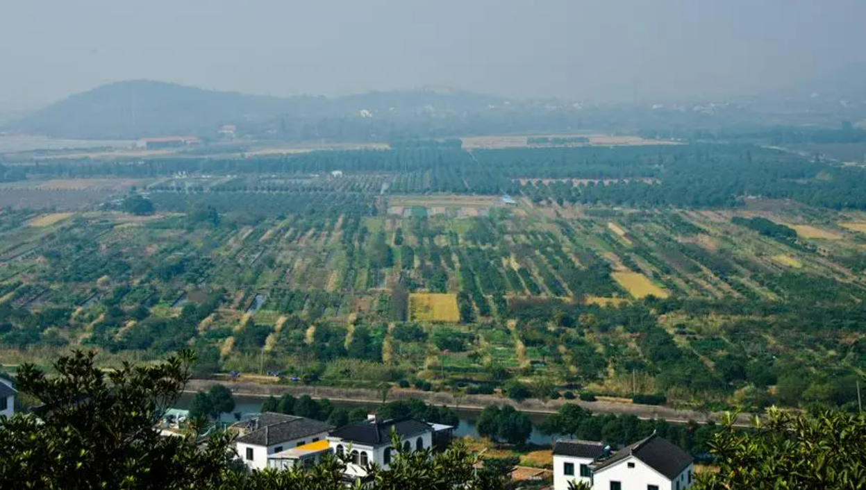 消夏湾片区